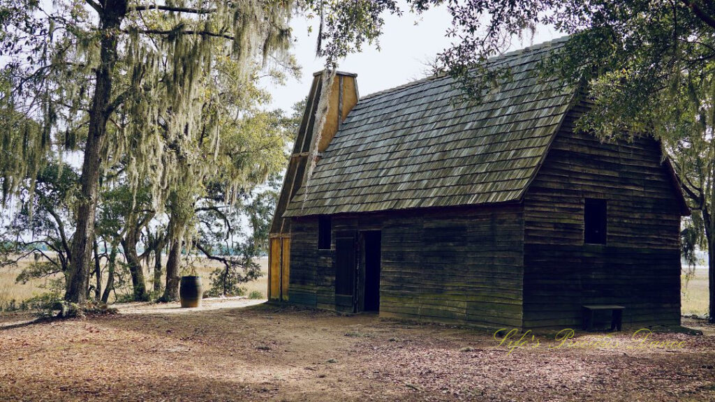 Old cabin at Charles Towne Landing, surrounded by trees covered in spanish moss.