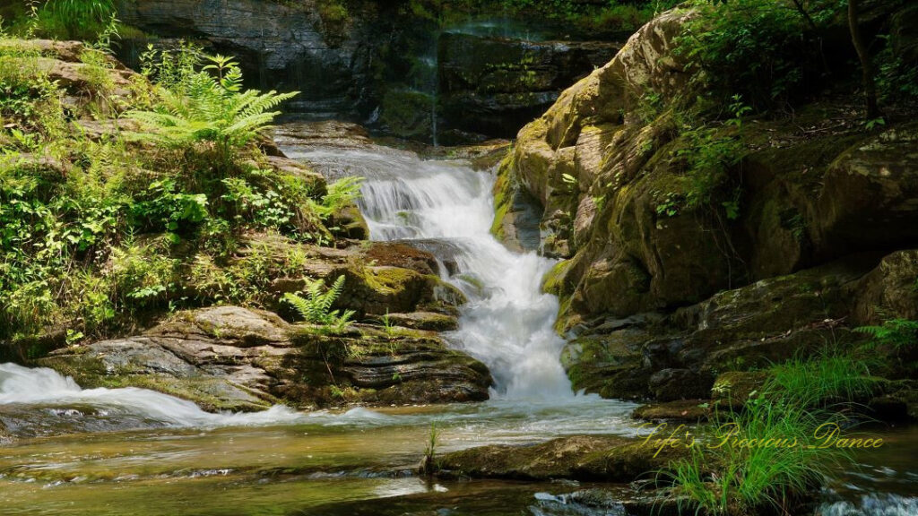 Long Creek Falls spilling over a moss covered rock ledge into the waiting creek below.