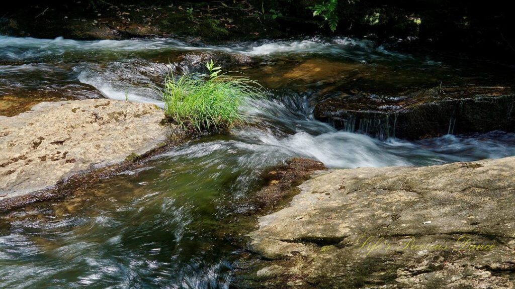 Water rushing over rocks in the creek at the base of Long Creek Falls. A patch of grass in the center of the scene.