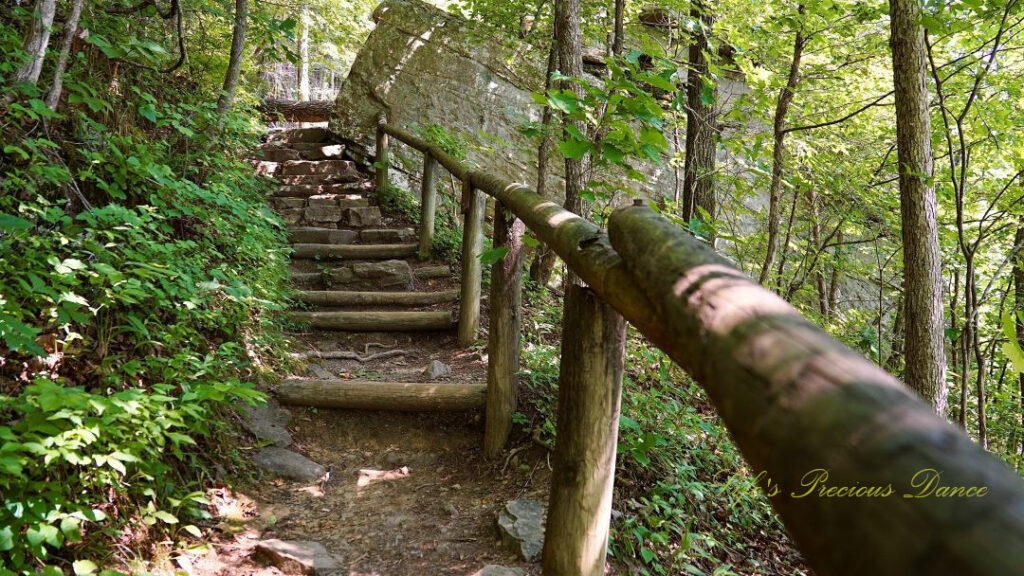 Trail leading to set of stairs in a forest. A large boulder sits to the right.