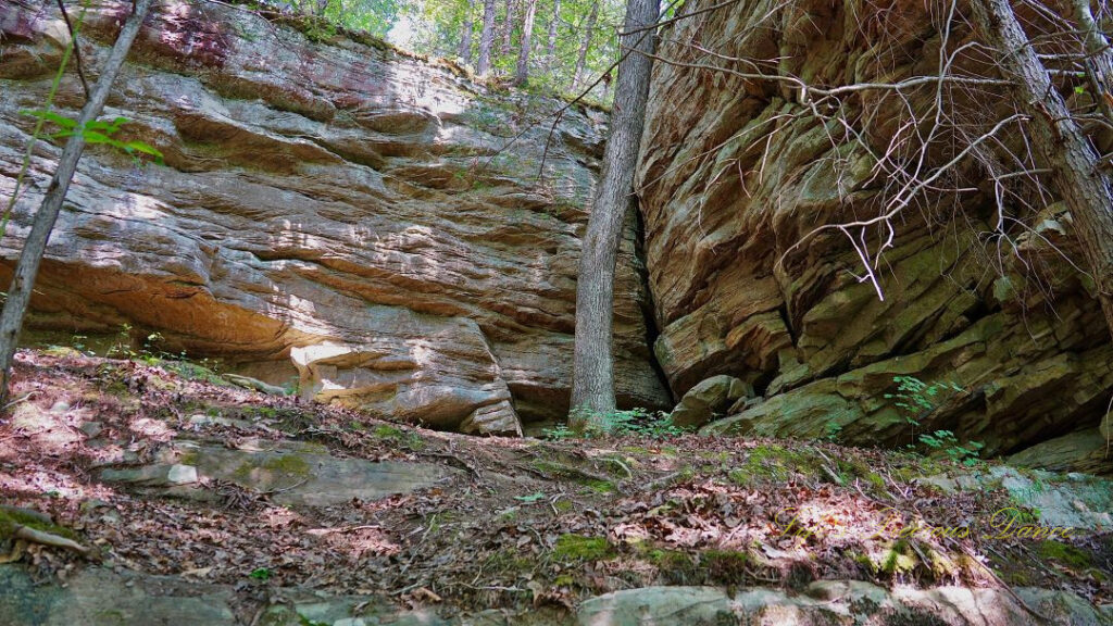 Looking upward from a trail at Cumberland Falls State Park towards the rock