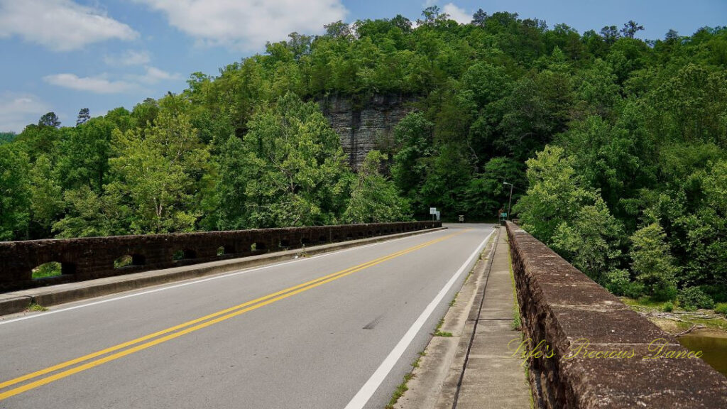 View from middle of bridge, looking head on into a tree covered mountain.