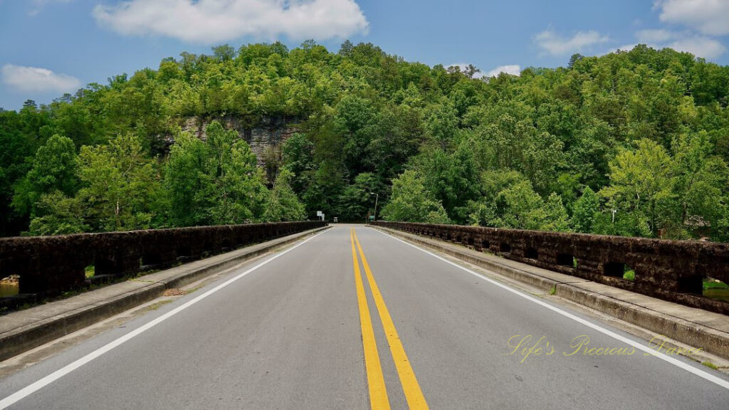 View from middle of bridge, looking head on into a tree covered mountain.