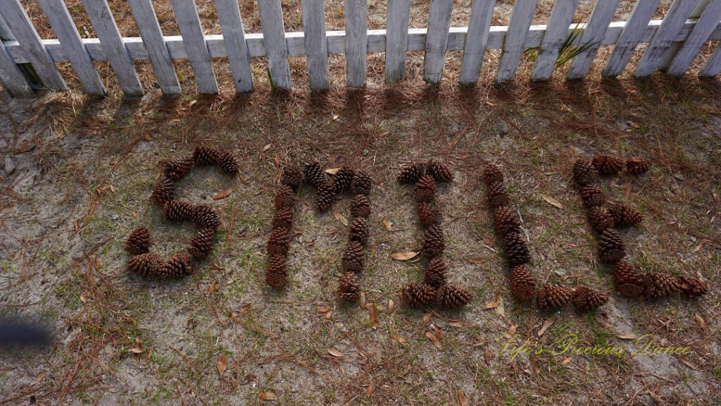 Pinecones spelling out &quot;Smile&quot; on the ground in front of a white picket fence.