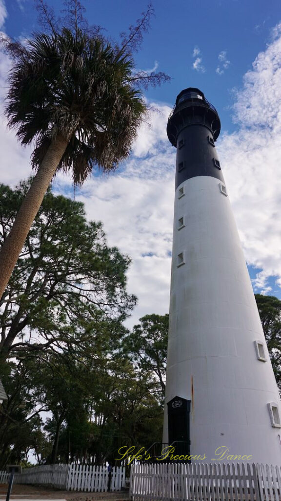 Upward look at the Hunting Island lighthouse, A palm tree towers beside it and passing clouds above.