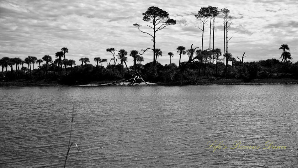 Black and white landscape view of the lagoon and background trees at Hunting Island