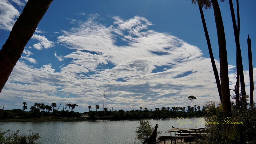 Trees framing fluffy clouds over the lagoon at Hunting Island State Park.