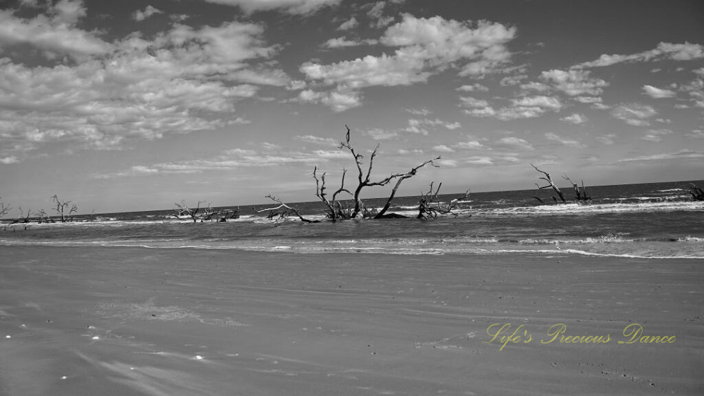 Black and white of skeletons of trees on the beach at high tide surrounded by ocean water. Clouds up above.