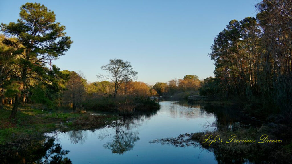 Late afternoon landscape view of the pond at Cypress Wetlands in Port Royal.