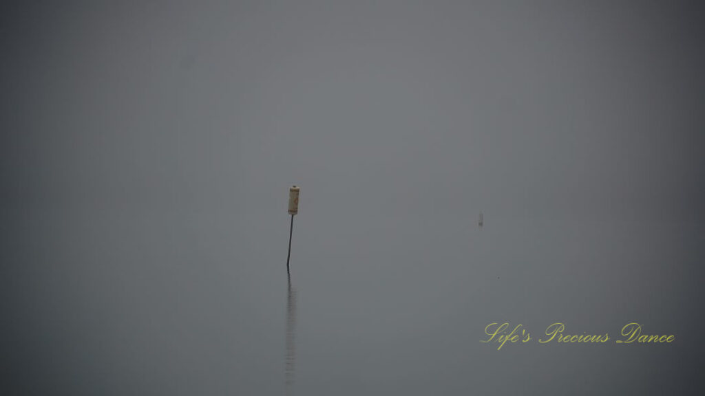 A tilted buoy reflecting in a foggy Lake Hartwell.