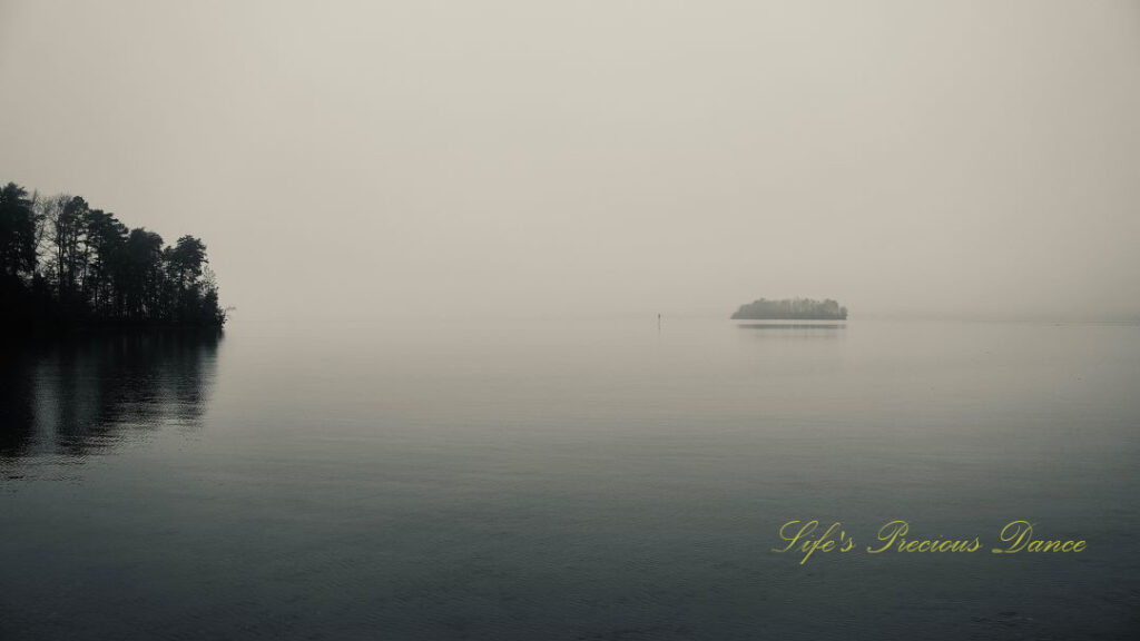 Black and white of fog over Lake Hartwell, Patches of trees reflecting in the water.