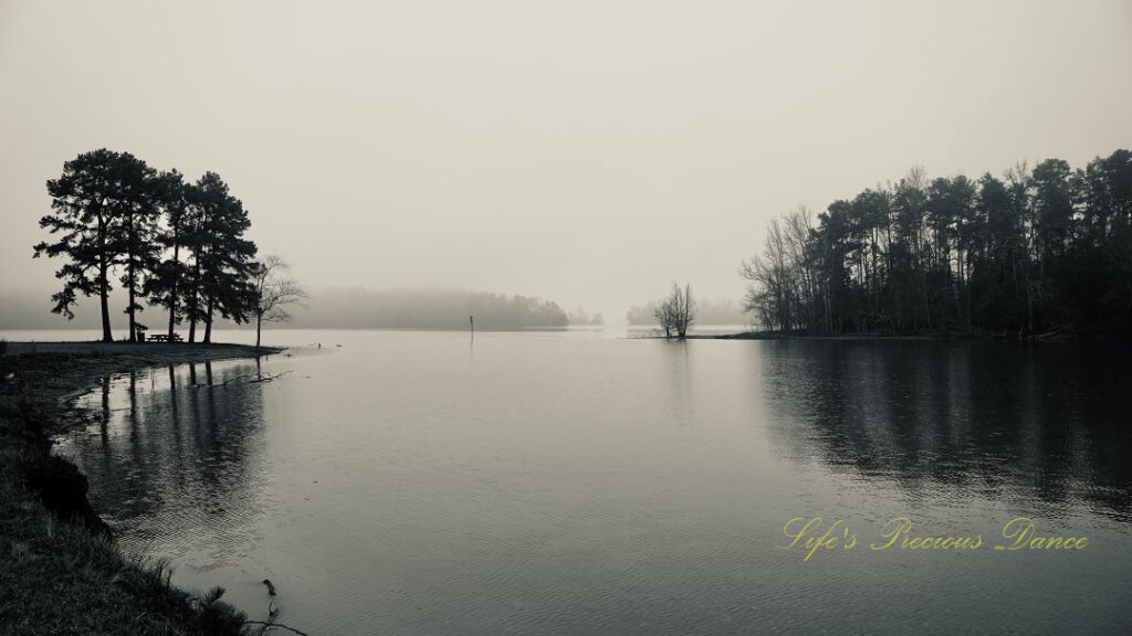 Black and white of fog over Lake Hartwell, Trees along the bank reflecting in the water.