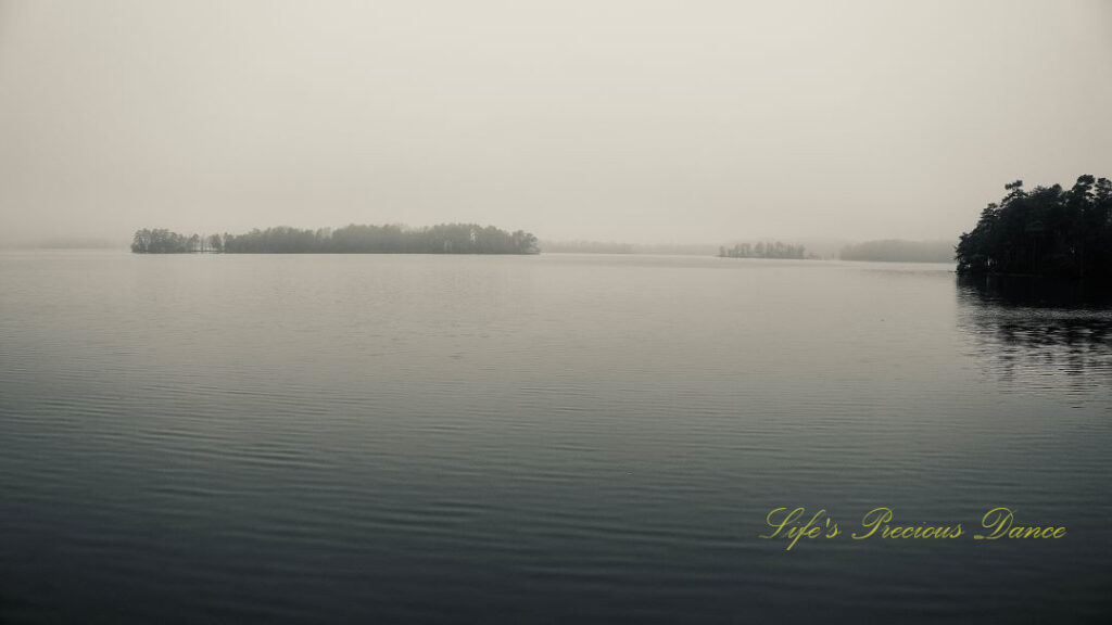 Black and white of Fog and patches of trees on Lake Hartwell.