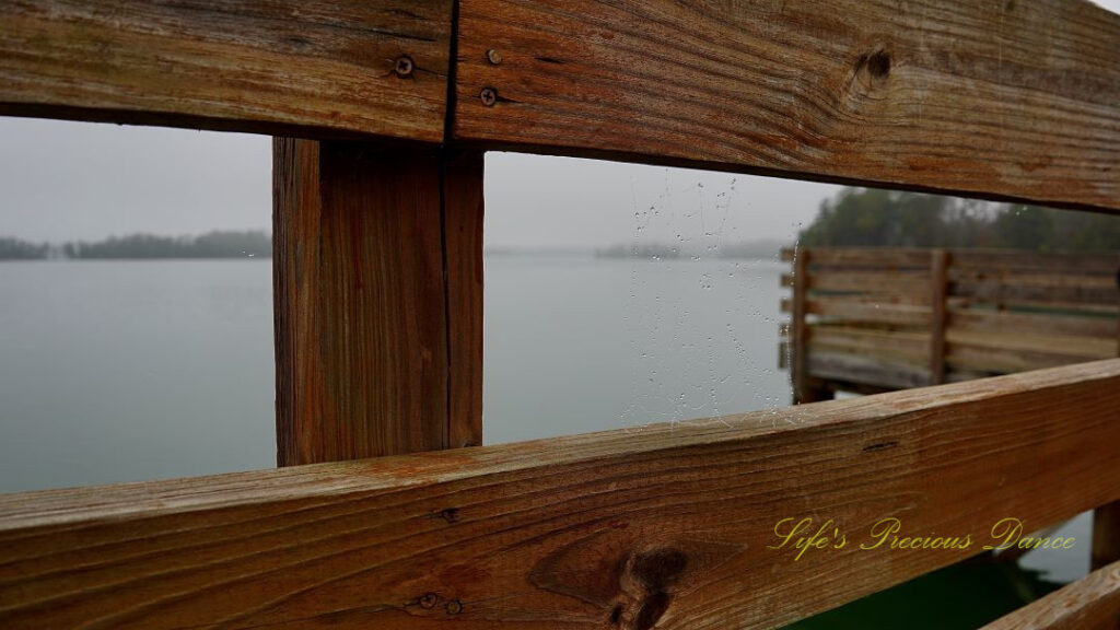 Spider web with rain droplets stretching between the railings of a pier. Fog over the lake in the background.