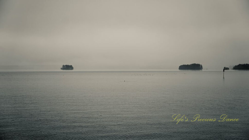 Black and white of fog over Lake Hartwell, Birds can be seen on the water.