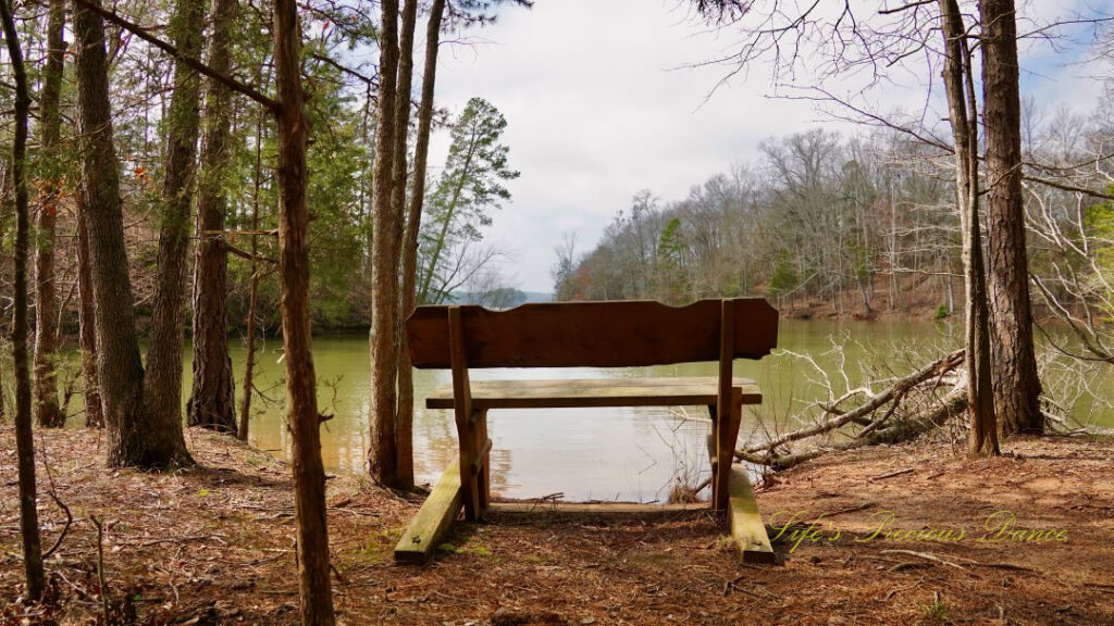 View from behind a bench overlooking Lake Hartwell.