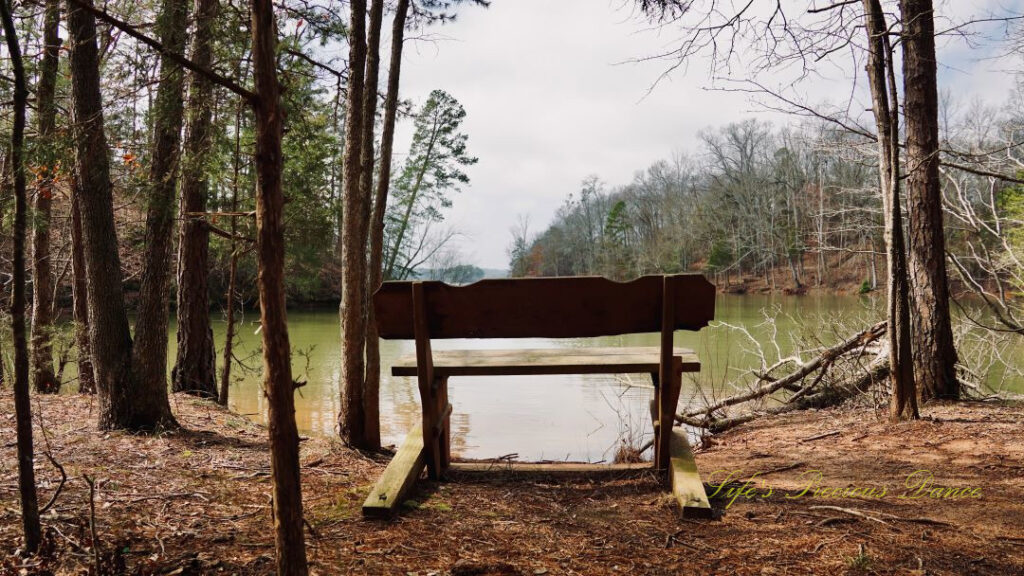 View from behind a bench overlooking Lake Hartwell.