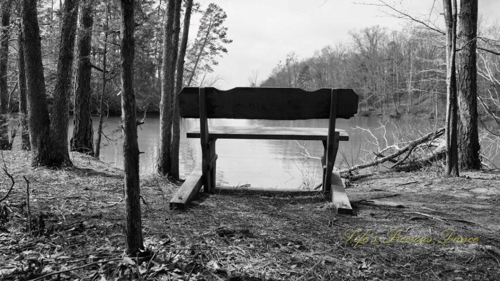 Black and White view from behind a bench overlooking Lake Hartwell.