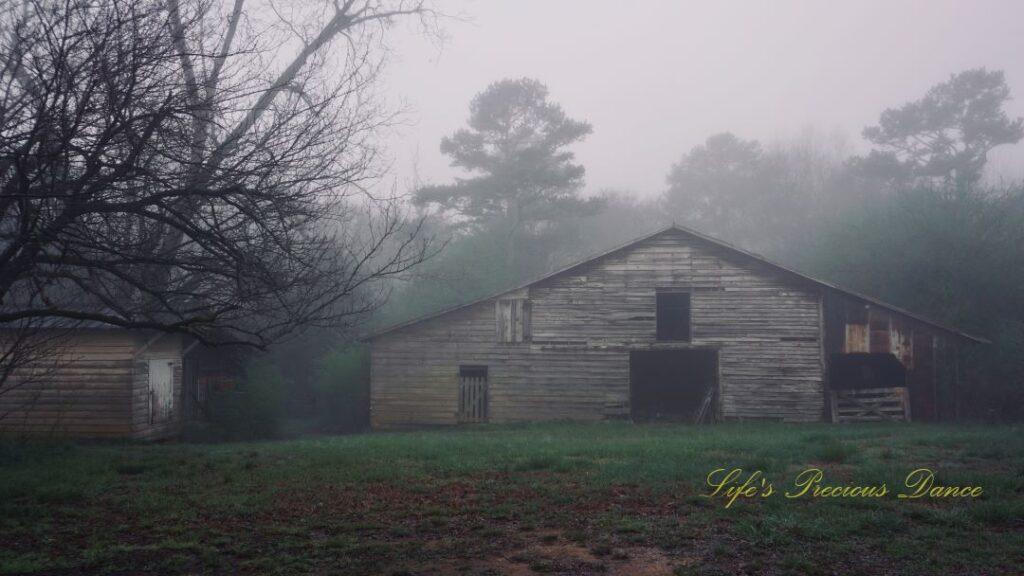 Fog surrounding an old barn at daybreak.