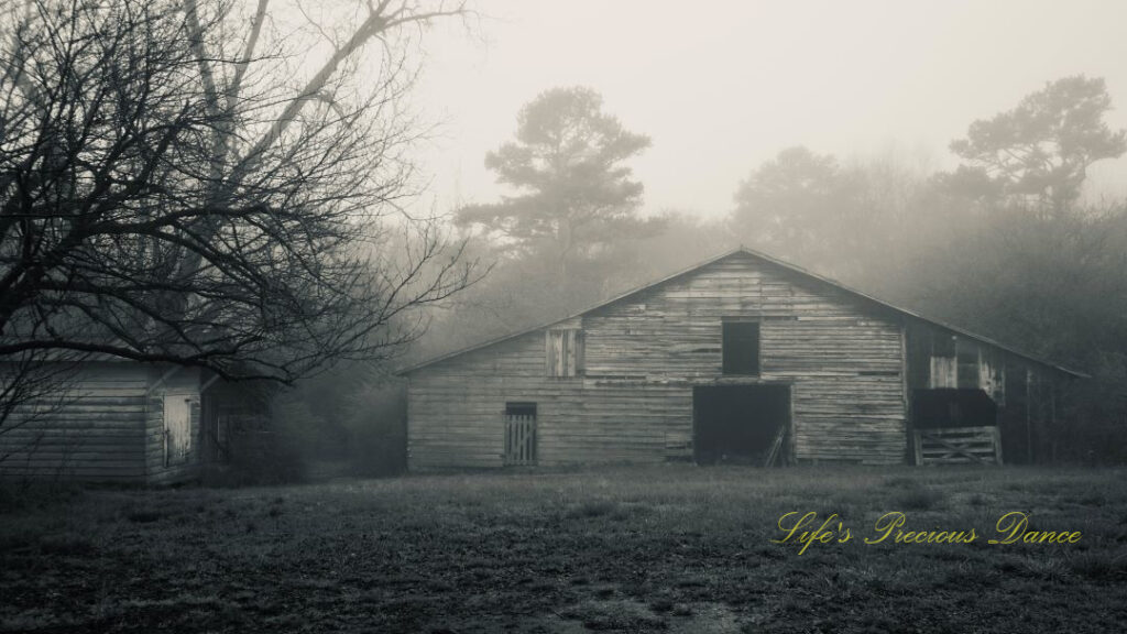 Black and white close up of fog surrounding an old barn at daybreak.