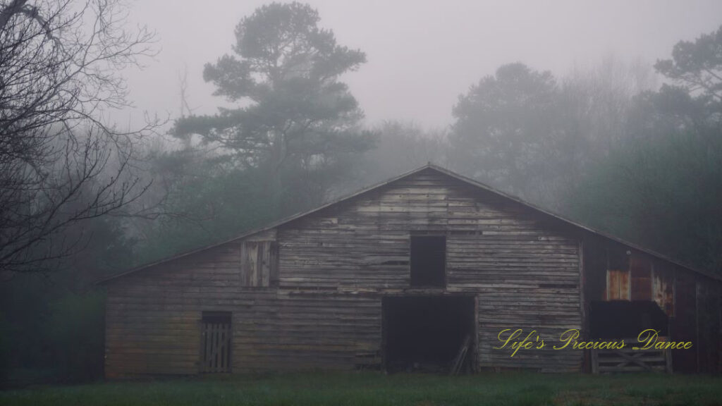 Close up of fog surrounding an old barn at daybreak.