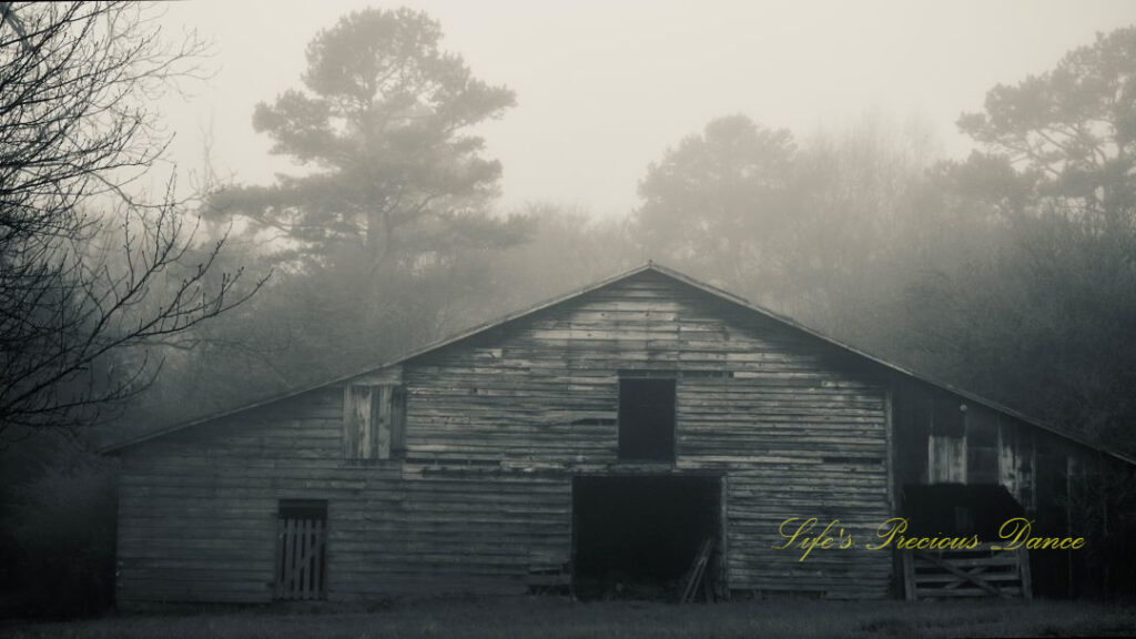 Black and white close up of fog surrounding an old barn at daybreak.