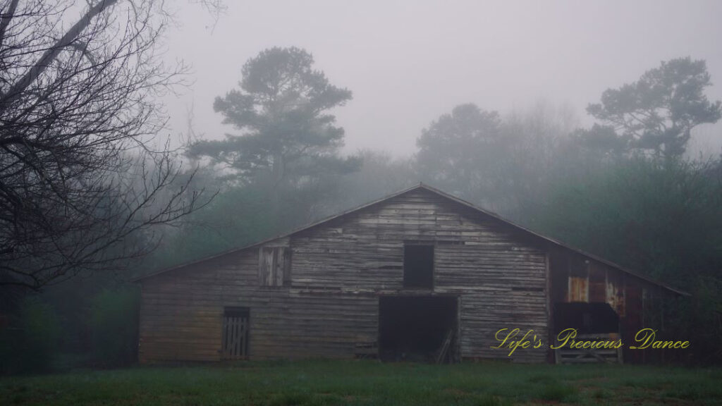 Fog surrounding an old barn at daybreak.