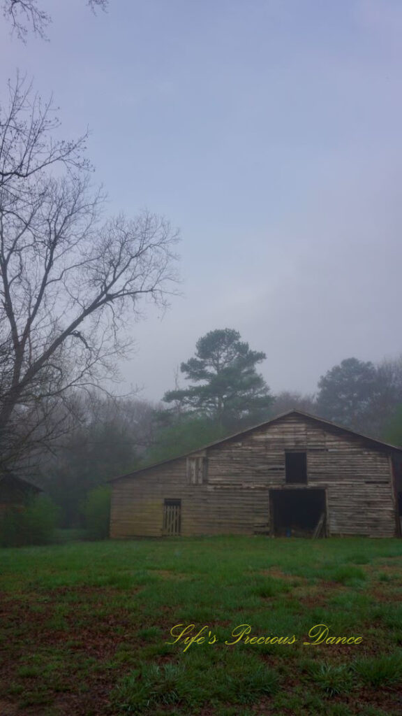 Fog surrounding an old barn at daybreak.