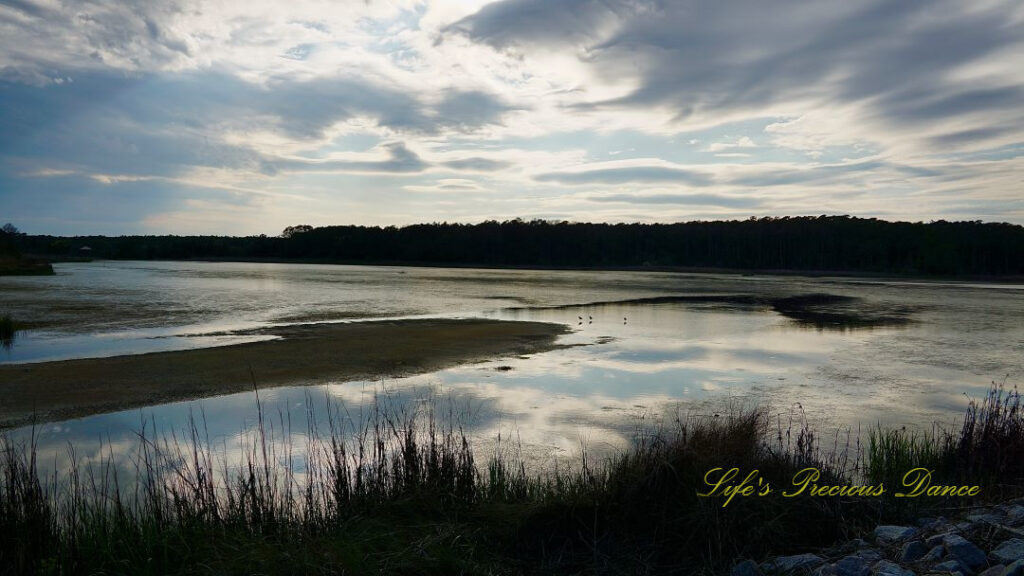 Landscape view of a marsh at Huntington Beach State Park. Clouds reflecting in the water. Three seabirds can be seen in the middle.