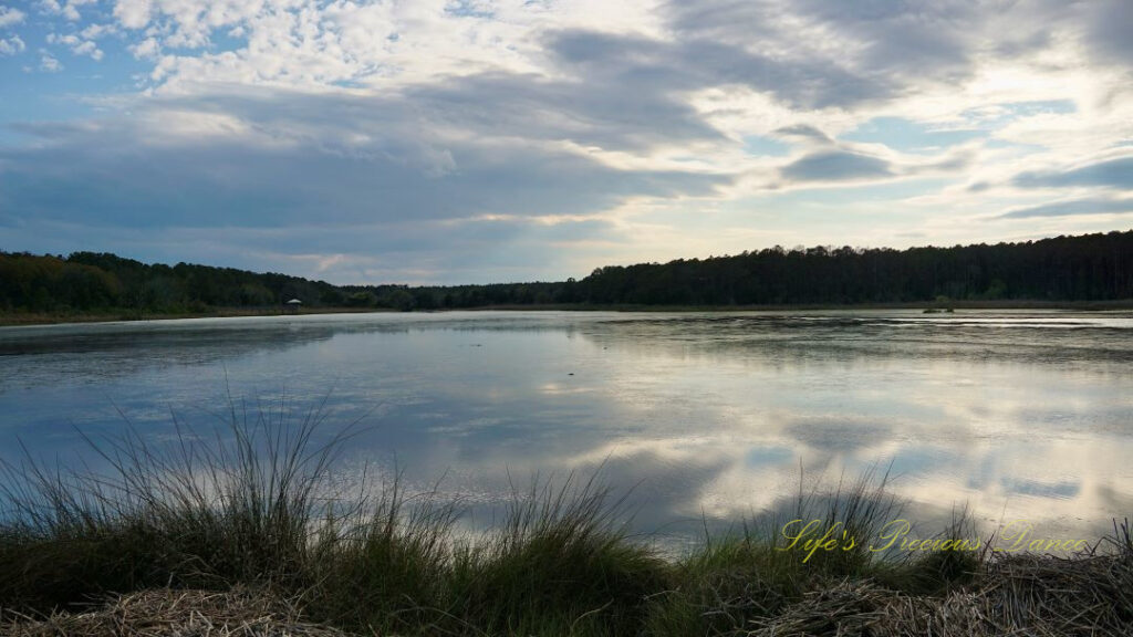 Landscape view of a marsh at Huntington Beach State Park. Clouds reflecting in the water.