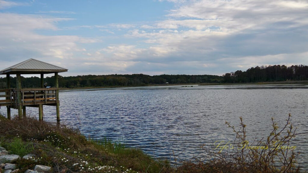 Landscape view of a marsh at Huntington Beach State Park. A pier sits to the left.