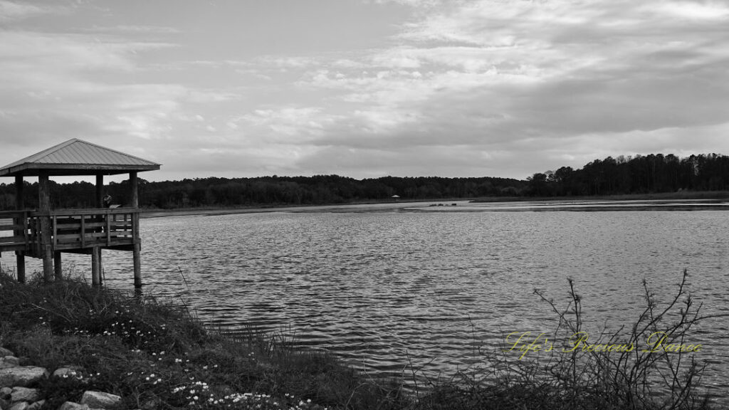 Black and white landscape view of a marsh at Huntington Beach State Park. A pier sits to the left.