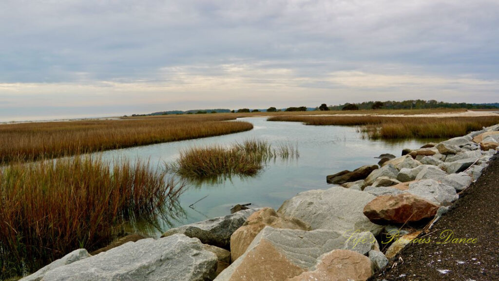 Marsh along the jetty at Huntington Beach.