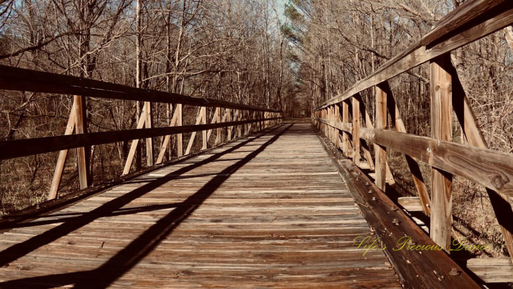 Straight on view looking down a raised walking bridge. Bare trees rising on either side.