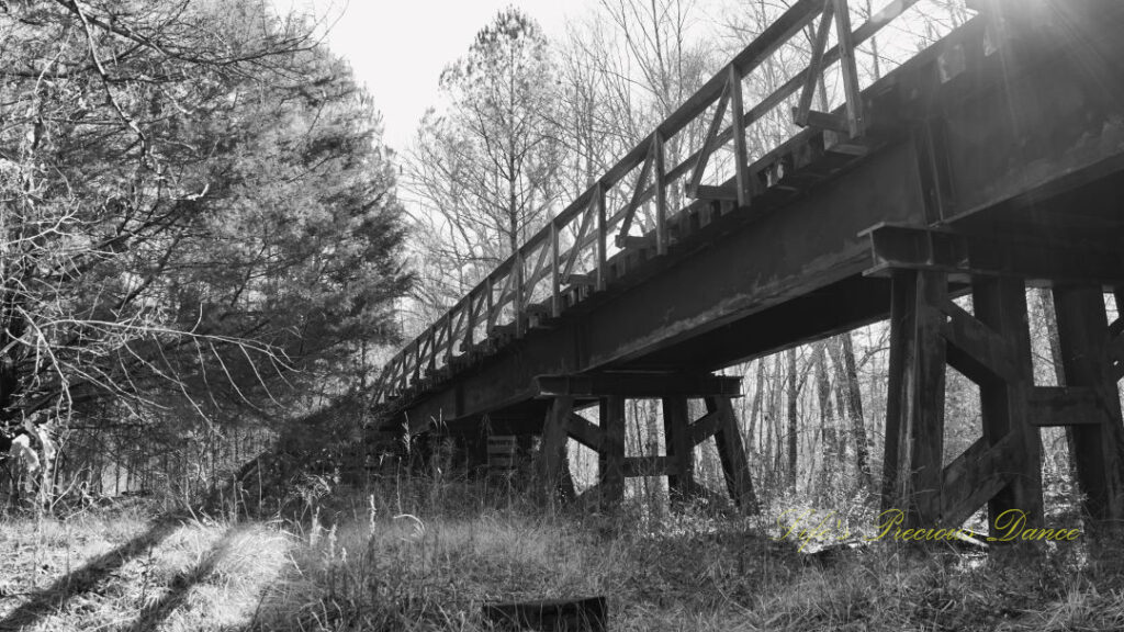 Black and white side view of a walking bridge.