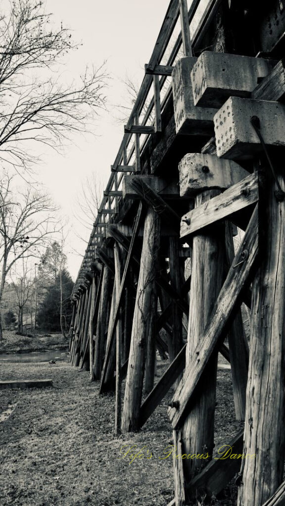 Black and white side view of an old train trestle turned walking bridge.