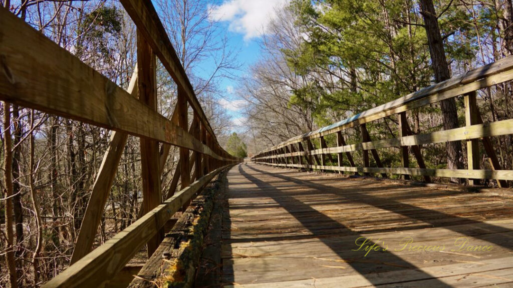 Ground level view of a raised walking bridge. Trees rise up on either side.