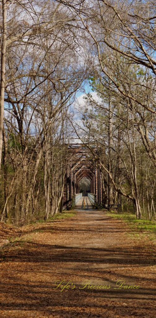 Ground level view, from a trail leading to an old train trestle.