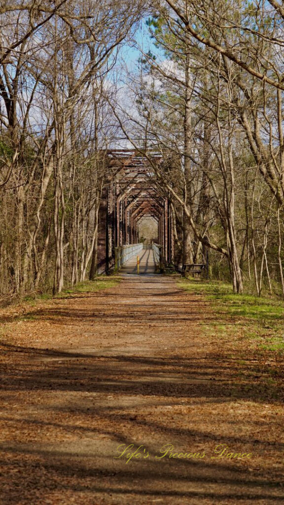 Ground level view, from a trail leading to an old train trestle.