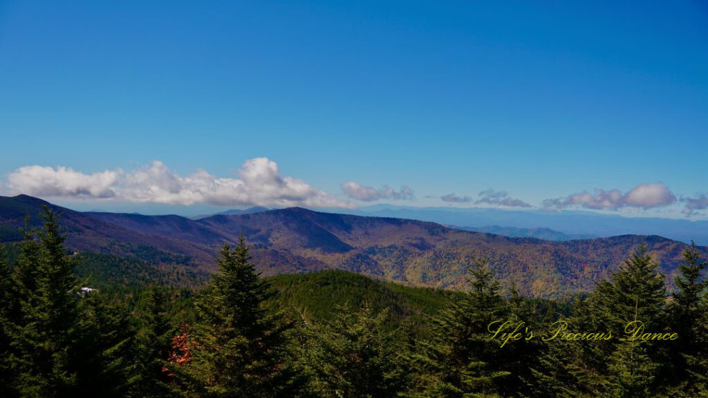 Landscape view from the top of Mt Mitchell overlooking colorful mountain peaks and trees in the valley.