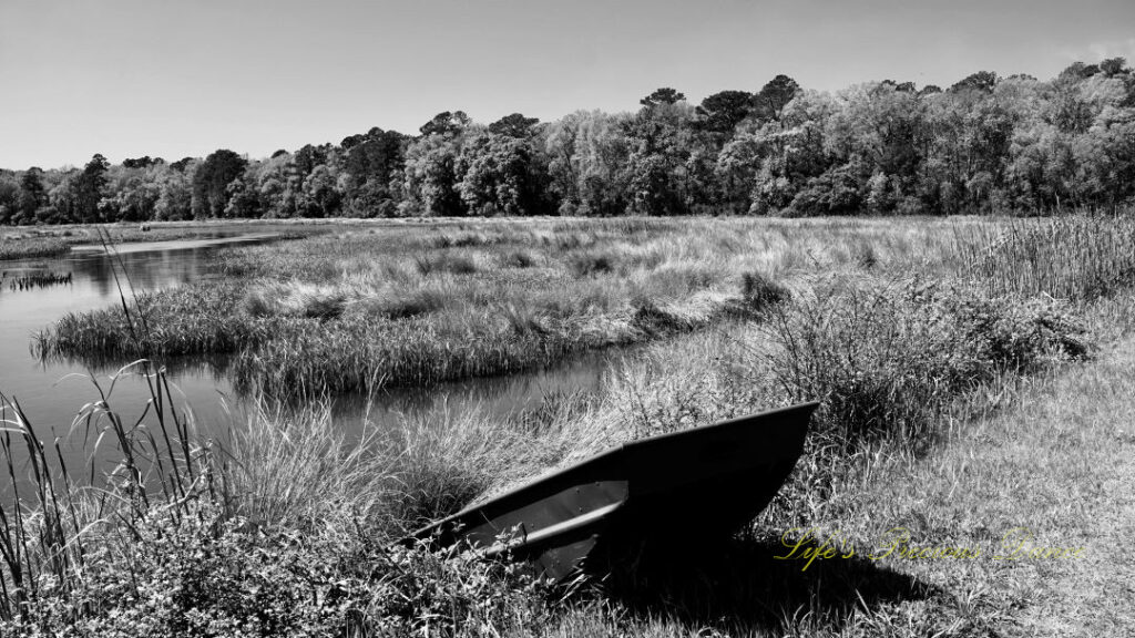 Black and white of a rowboat along the bank of a marsh at Donnelly WMA