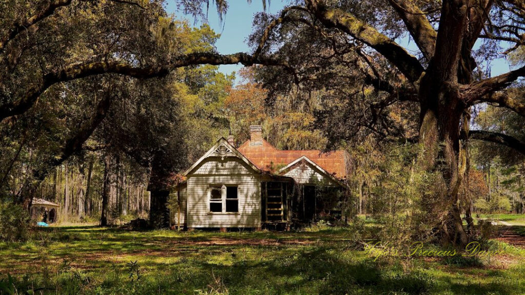 Old house surrounded by live oak trees draped in spanish moss.