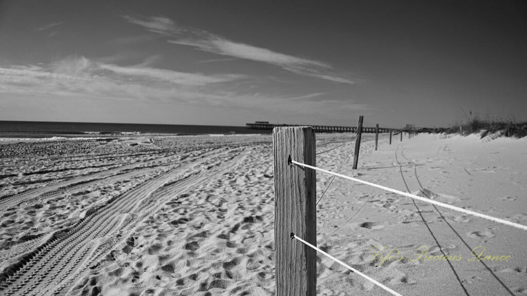 Black and white of pier posts running along Myrtle Beach. Well traveled sand and the ocean to the right.