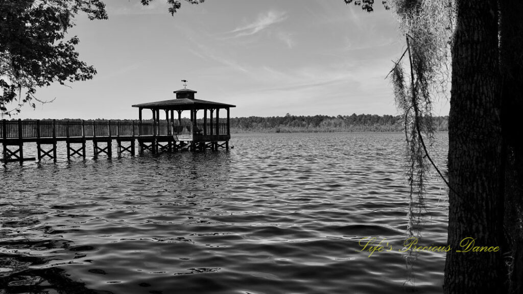 Black and white of a fishing pier with a gazebo stretching out over Lake Warren. Spanish moss hanging to the right.