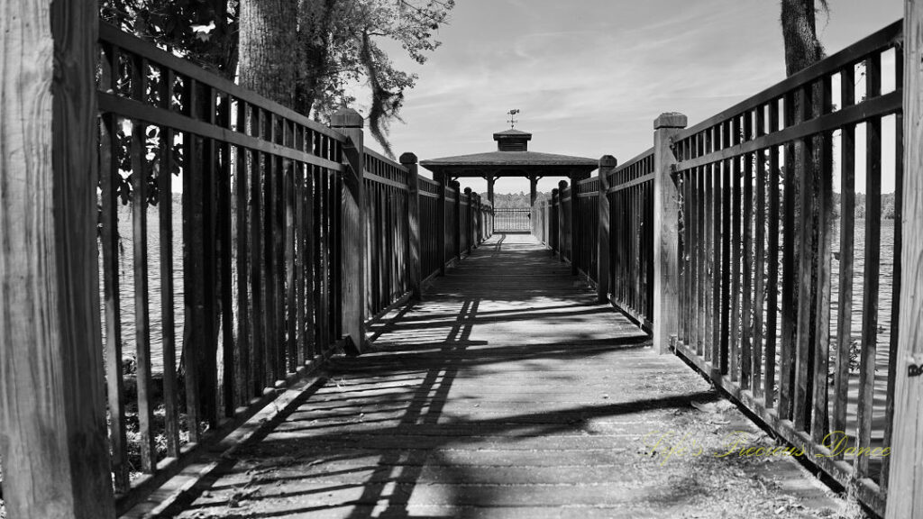 Black and white ground level view of the pier at Lake Warren State Park.