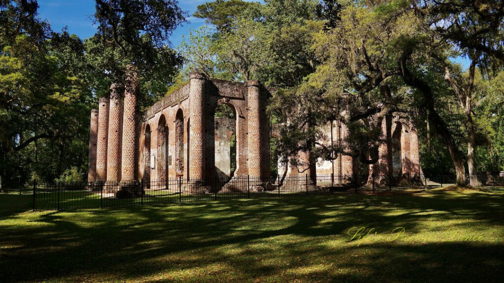 Side view of the Old Sheldon Church ruins. Trees surround the structure.