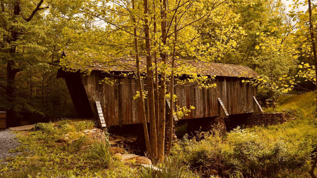 Side view of Pisgah Covered Bridge, surrounded by golden colored trees.