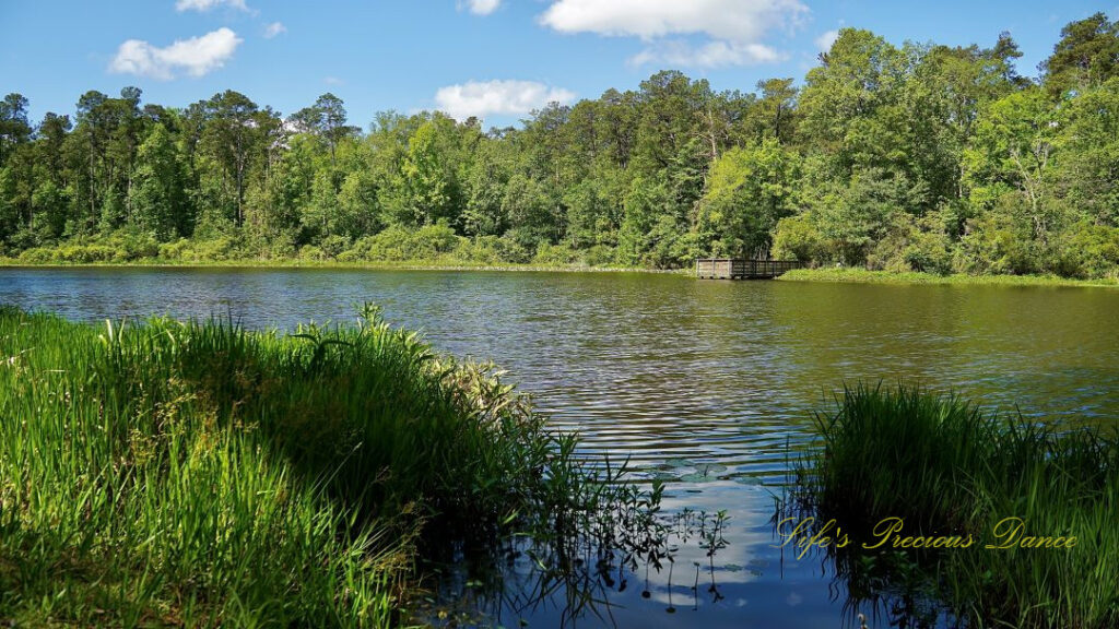 Landscape view of Lake Barnwell. A pier in the background along the shore.