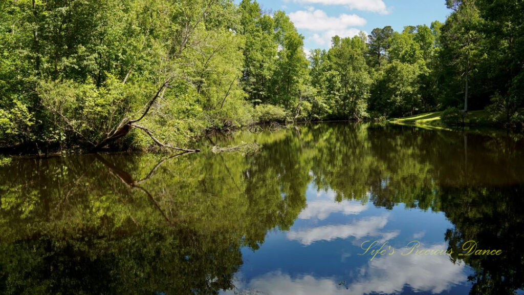 Trees, clouds, and blue skies reflecting in Lake Barnwell.