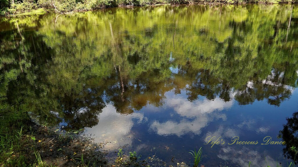 Blue skies, clouds and trees reflecting off of Lake Barnwell.